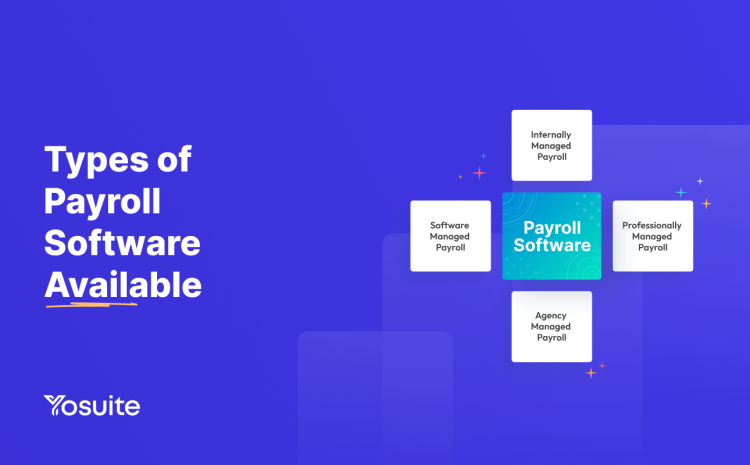 Types of Payroll Software Available