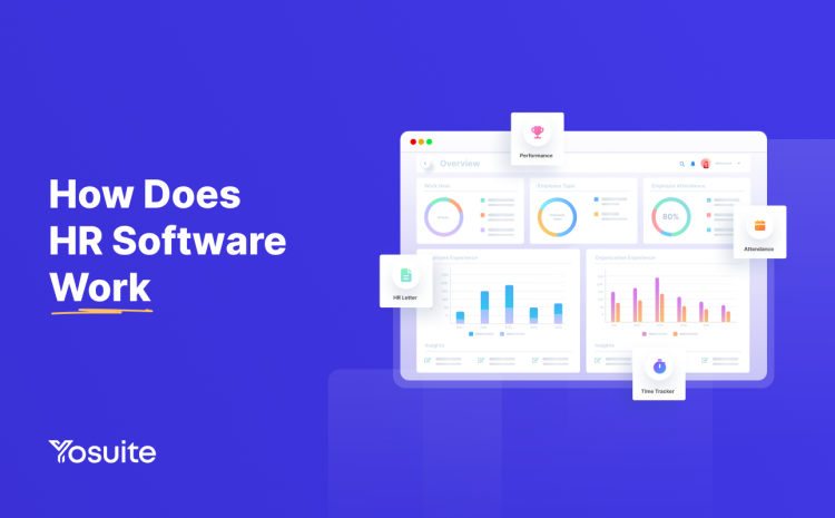 How Does HR Software Work: Learn & Empower Your Business 
