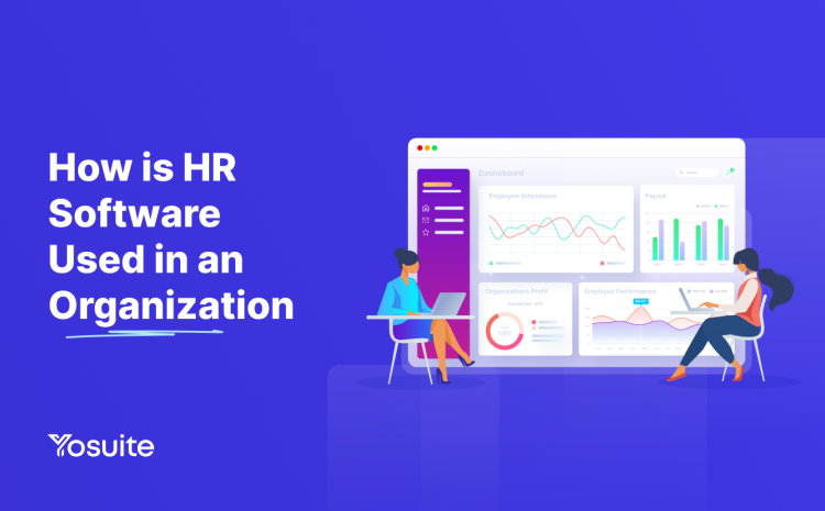 How is HR Software Used in an Organization: Things to Know!