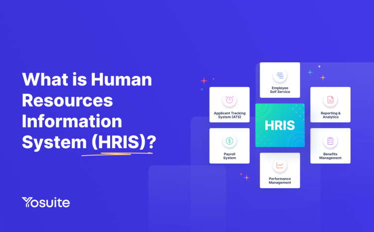 What is HRIS: Guide to Human Resource Information Systems