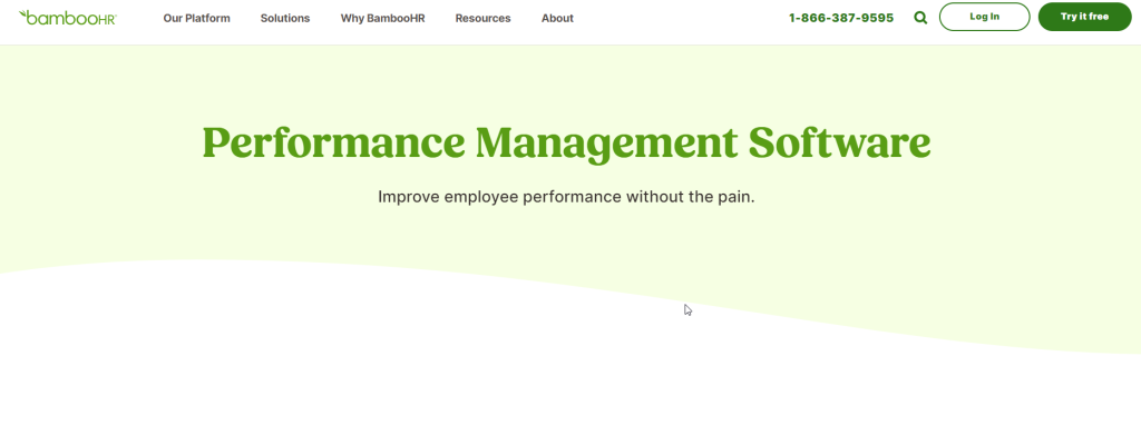 Bamboo HR for HR team performance review